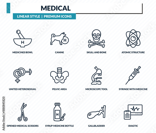 medical icons set - medicines bowl, canine, skull and bone, syringe with medicine, diagtic outline vector collection.