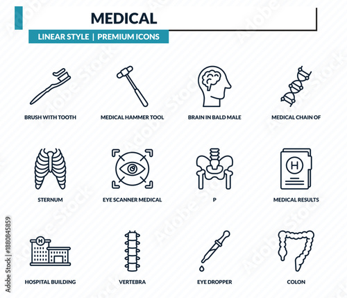 medical icons set - brush with tooth paste, medical hammer tool, brain in bald male head, medical results folders, colon outline vector collection.