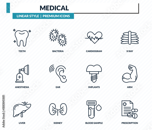 medical icons set - teeth, bacteria, cardiogram, arm, prescription outline vector collection.
