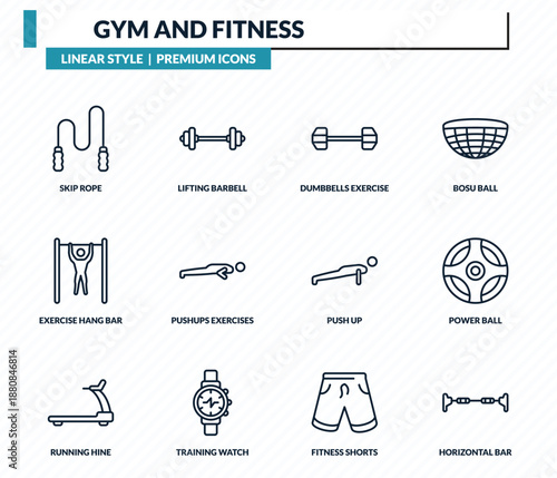 gym and fitness icons set - skip rope, lifting barbell, dumbbells exercise, power ball, horizontal bar outline vector collection.