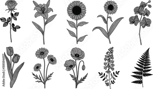 Detailed black-and-white botanical illustrations of ten diverse flowers and plants, showcasing intricate hand-drawn linework for floral art, nature studies, and design.