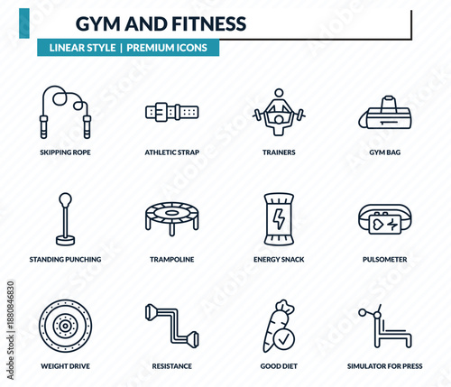 gym and fitness icons set - skipping rope, athletic strap, trainers, pulsometer, simulator for press outline vector collection.