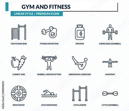gym and fitness icons set - tightening bar, fitness nutrition, protein, anatomy, little dumbbell outline vector collection.
