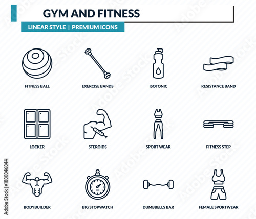 gym and fitness icons set - fitness ball, exercise bands, isotonic, fitness step, female sportwear outline vector collection.