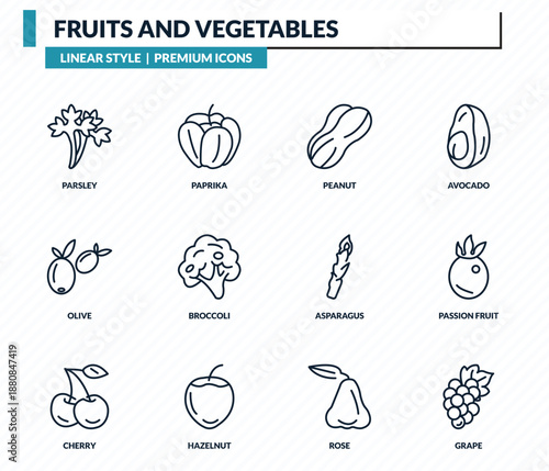fruits and vegetables icons set - parsley, paprika, peanut, passion fruit, grape outline vector collection.