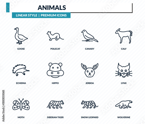 animals icons set - goose, polecat, canary, lynx, wolverine outline vector collection.