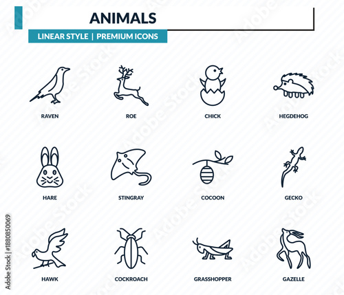animals icons set - raven, roe, chick, gecko, gazelle outline vector collection.