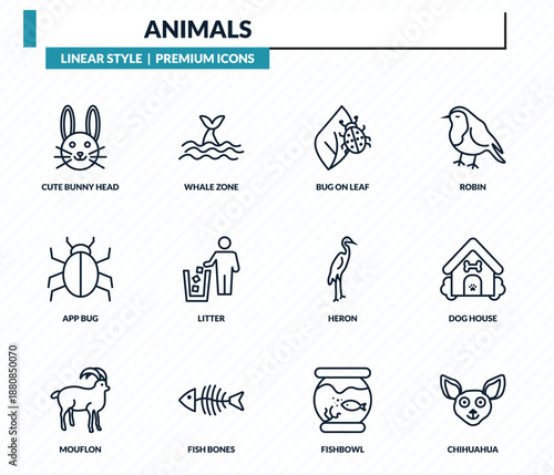 animals icons set - cute bunny head, whale zone, bug on leaf, dog house, chihuahua outline vector collection.
