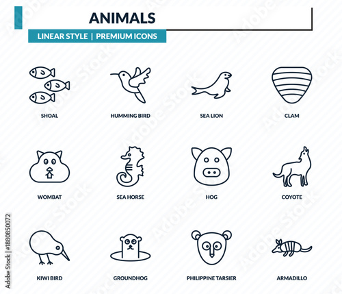 animals icons set - shoal, humming bird, sea lion, coyote, armadillo outline vector collection.