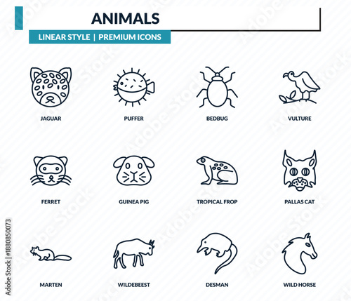 animals icons set - jaguar, puffer, bedbug, pallas cat, wild horse outline vector collection.