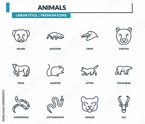 animals icons set - weasel, anteater, crow, polar bear, elk outline vector collection.