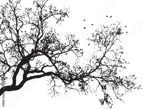 Tree with roots oak tree with roots vintage sketch, tree with spreading roots 