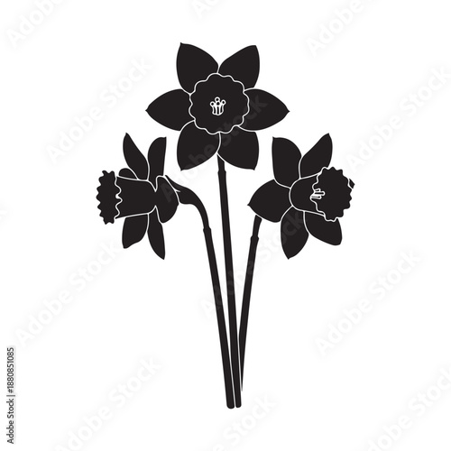 Black and white daffodil flower vector illustration isolated on white background