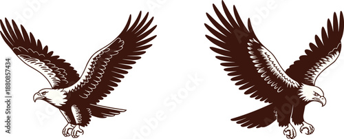 Flying eagle illustration set isolated on white background, powerful bird of prey artwork symbolizing freedom, strength, wildlife, and nature design concepts