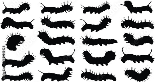   
Caterpillar silhouette collection with varied shapes, insect poses, segmented bodies, antennae, spines, entomology study, biological diversity, educational theme, flat vector