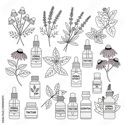 Create your own natural medicine with this beautiful herbal extract tincture and essential oil collection featuring lavender, mint, and echinacea outlines
