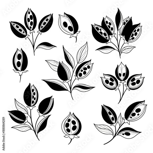 Elegant botanical seed pods and leaves in a modern monochrome design, perfect for nature-inspired textiles and striking wallpaper patterns for contemporary homes