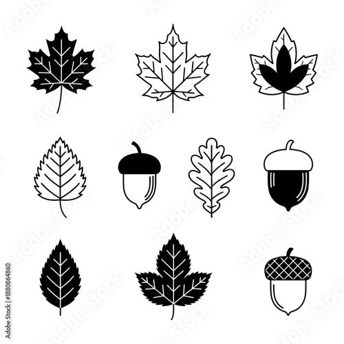 Celebrate the Autumn Season with These Elegant Minimalist Leaf and Acorn Icons, Perfect for Fall Designs and Nature-Inspired Projects