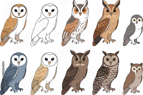 Flat Vector Set of Owls – Forest Bird Species Collection