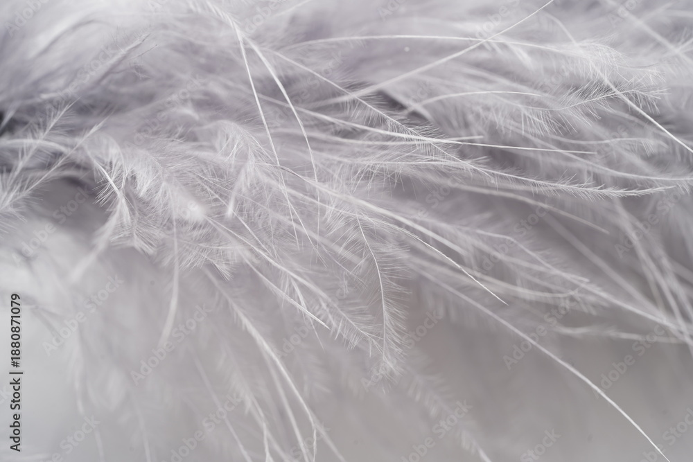 Obraz premium fur background