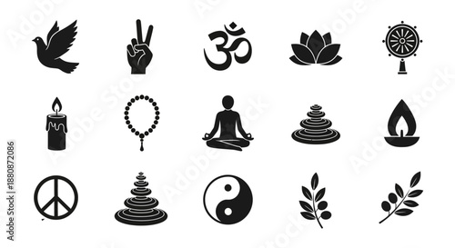 A vibrant close-up of a blooming pink peony with soft petals and a golden center captured in natural sunlight