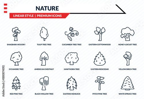 nature icons set - shagbark hickory tree, tulip tree tree, sycamore eastern hemlock white spruce outline vector collection.