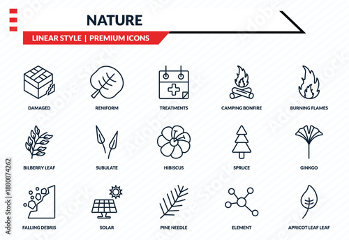 nature icons set - damaged, reniform, bilberry leaf, pine needle, apricot leaf leaf outline vector collection.