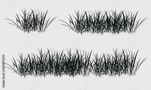 Black grass silhouettes border, meadow grass panorama isolated on white background