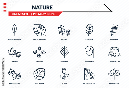 nature icons set - magnolia leaf, philodendron, dry leaf, roses, palmatelly outline vector collection.