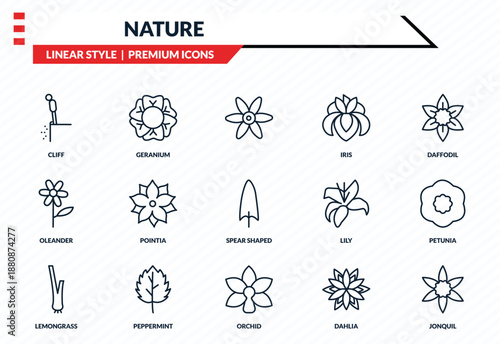 Tableau sur toile nature icons set - cliff, geranium, oleander, orchid, jonquil outline vector collection