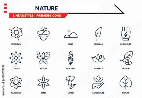 nature icons set - magnolia, , clematis, larch, poplar outline vector collection.