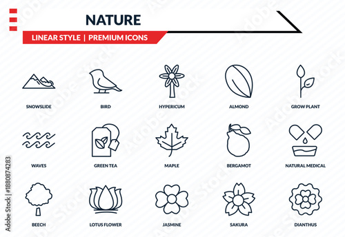 nature icons set - snowslide, bird, waves, jasmine, dianthus outline vector collection.