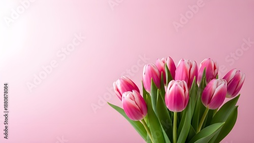 Wallpaper Mural A vibrant bouquet of pink tulips against a soft pink background Torontodigital.ca