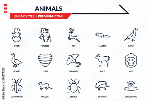 animals icons set - chick, gazelle, goose, bedbug, groundhog outline vector collection.