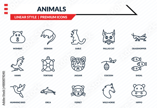 animals icons set - wombat, desman, hawk, ferret, hippo outline vector collection.