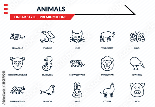 animals icons set - armadillo, vulture, philippine tarsier, hare, hog outline vector collection.