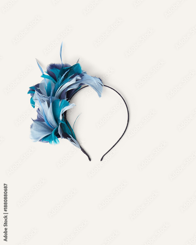 Obraz premium Jewelry shot for ecommerce sales ,hairpin or hair-slide and hair-clip ponytailer for girlish hairstyle beauty fashion set of hairgrip or hairdressing accessories barber isolated on clipping path 