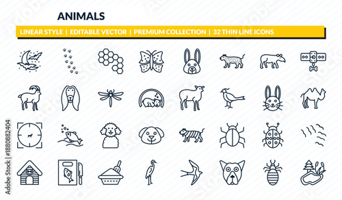 animals icons set - moon and bats, pawprints, bee hive, louse, pond outline vector collection.