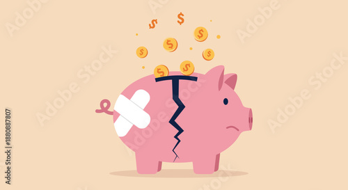 financial crisis concept featuring a cracked piggy bank with dollar coins representing economic recession debt and savings problems.
