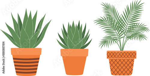Set of three indoor houseplant vectors including succulents and a small palm in decorative orange ceramic pots