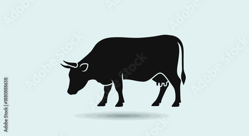 Black cow walking profile view.