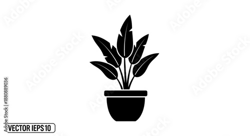 Black silhouette of potted plant.