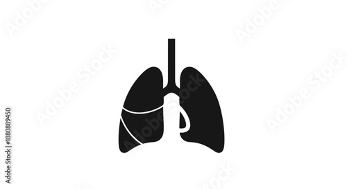 Human Lung Anatomy Illustration.