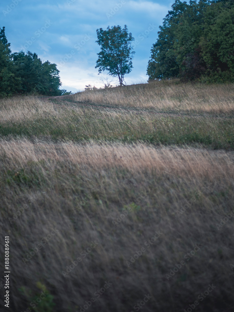 Fototapeta premium Peaceful rural hillside landscape 