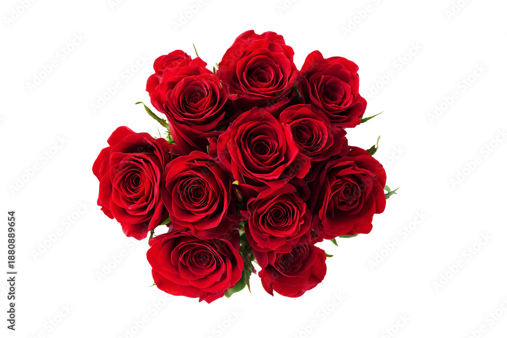 Obraz premium Vibrant red roses isolated on transparent background