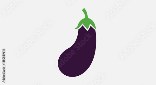 Purple Eggplant Vegetable Illustration.