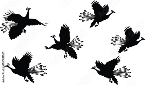 Silhouette Illustration of Flying Peacocks with Spread Wings and Elegant Tail Feathers for Artistic Nature-Themed Design