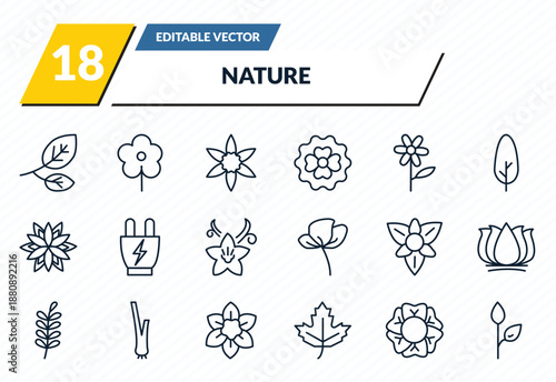 nature icons set - branch, daisy, jonquil, geranium, grow plant outline vector collection.