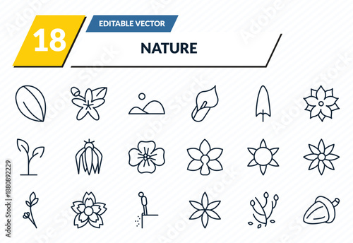 nature icons set - almond, neroli, hills, anemone, oak outline vector collection.