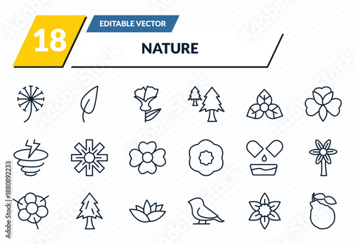 nature icons set - dandelion, acicular, larch, daffodil, bergamot outline vector collection.
